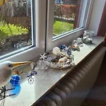 Ferienhaus-janssen Дом отдыха Норддайх