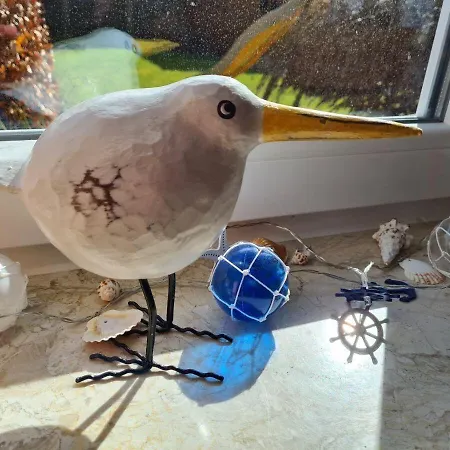 Ferienhaus-janssen Semesterbostad