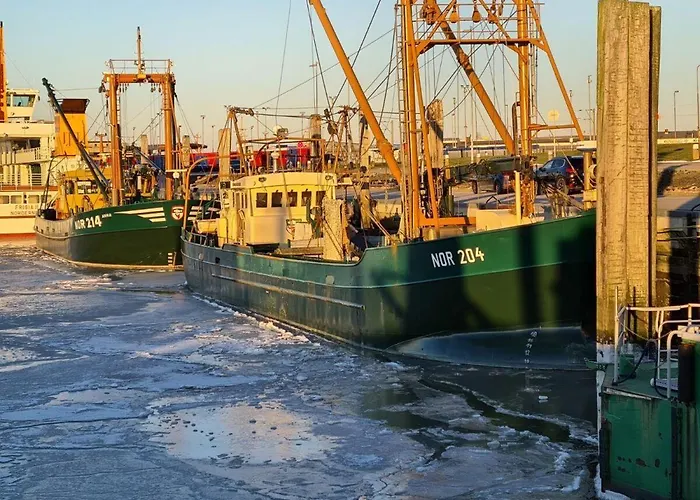 Ferienhaus-janssen * Norddeich (Norden)